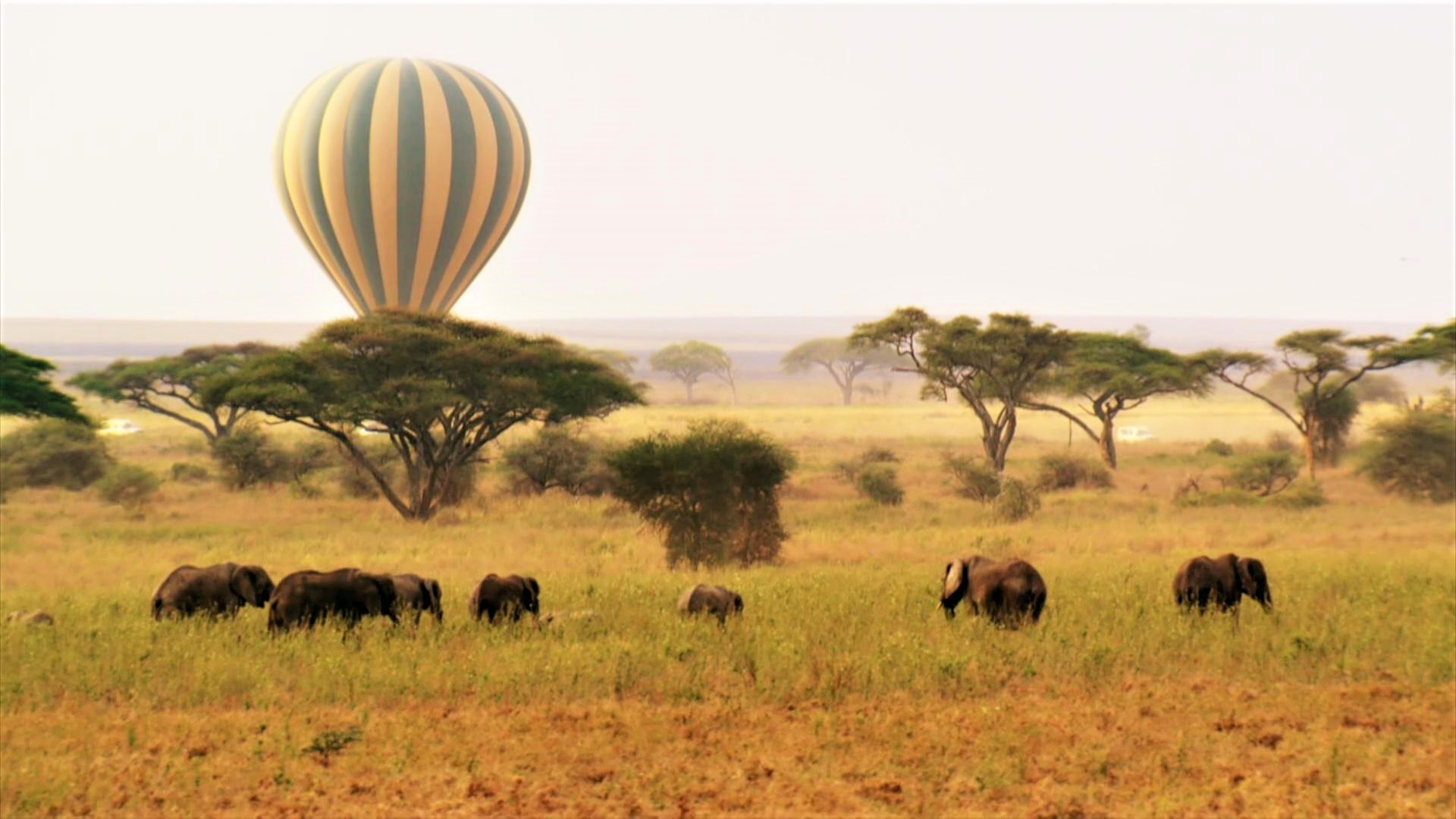 La Tanzanie enregistre 1,13 millions de touristes sur les 8 premiers mois en 2023, +25,7% par rapport à 2022