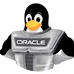 ¿Qué es Oracle Linux 8? Oracle Linux y sus Características