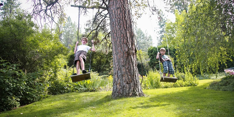 swing
