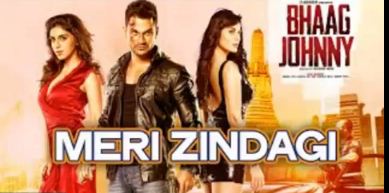 Meri Zindagi Hai Tu, मेरी ज़िन्दगी है तू, (Bhaag Johnny),   Full LYrics Full Video Song MP4