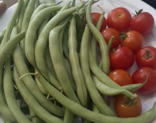 garden fresh produce, fresh green beans, fresh tomatoes, cherry tomatoes