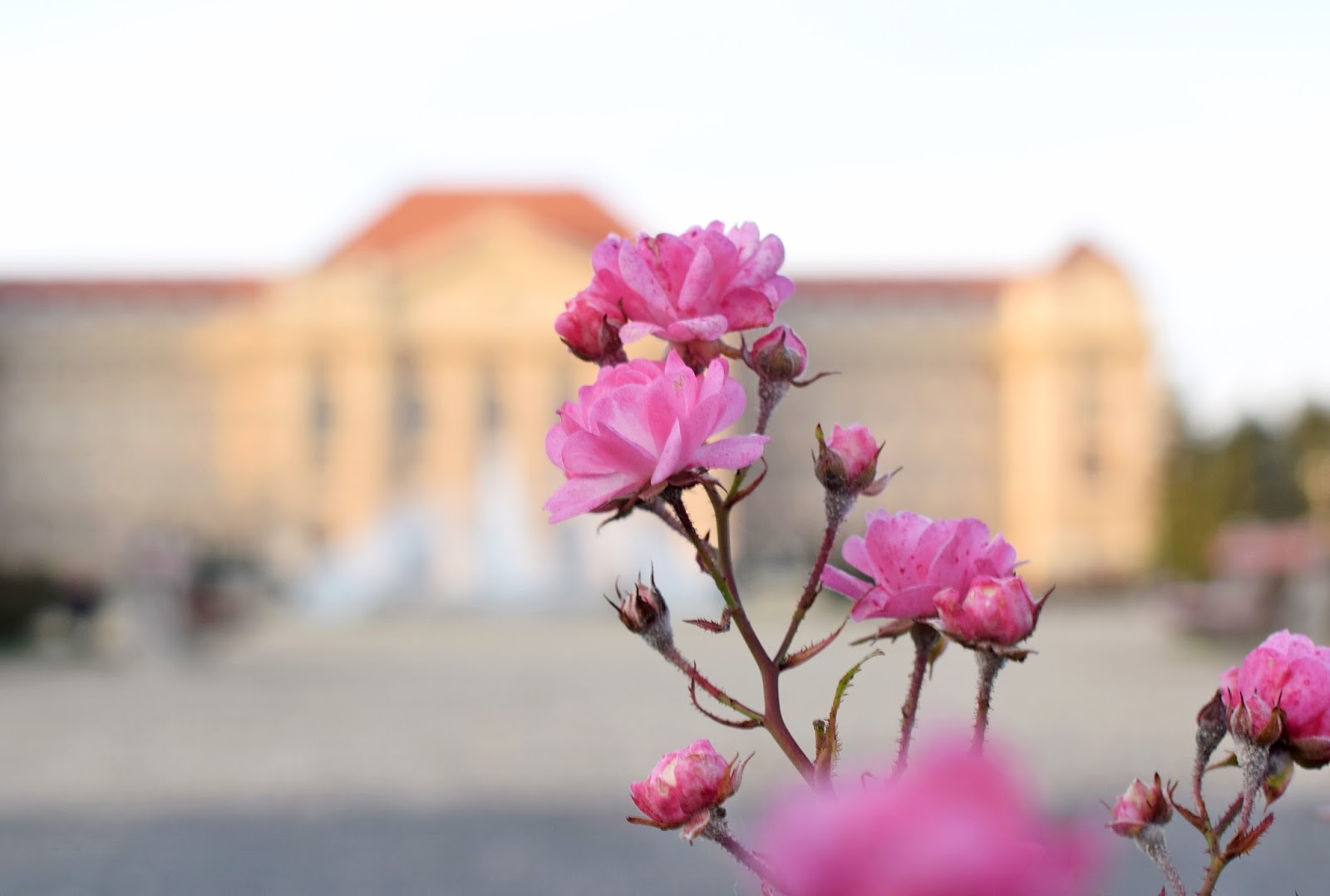 University of Debrecen