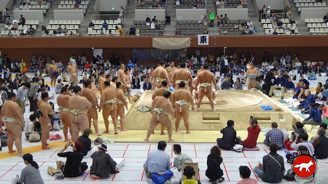 entrainement du matin des sumos au basho de Kyoto 2015