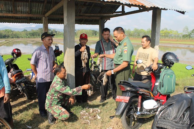 PETANI RESAH, TNI TURUN KE SAWAH