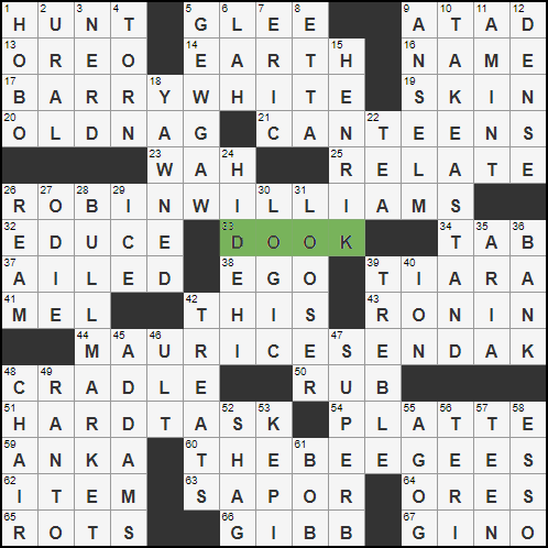 DOOK in NYT Crossword