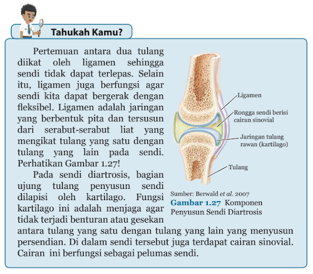 Lembar Diskusi 3