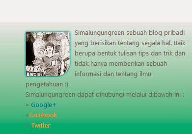 Cara Membuat Wiged box profil pada blogger