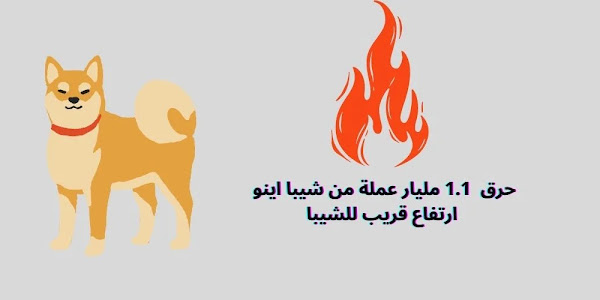 حرق  1.1 مليار عملة من شيبا اينو ارتفاع قريب للشيبا