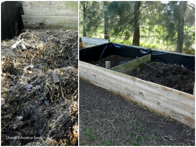 Compost en la compostera - Chacra Educativa Santa Lucía