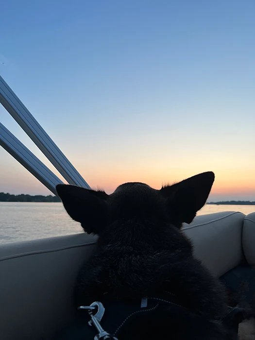 Finn on a boat at sunset