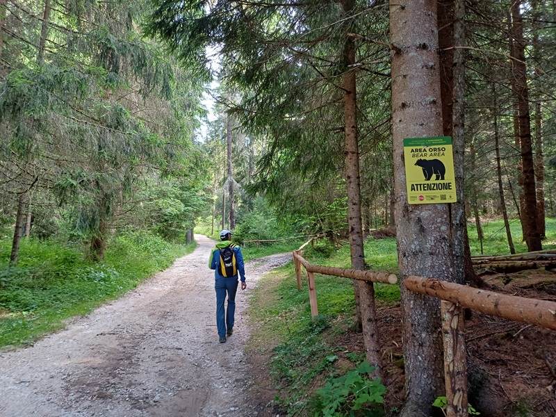 Sul sentiero per Monte Penegal