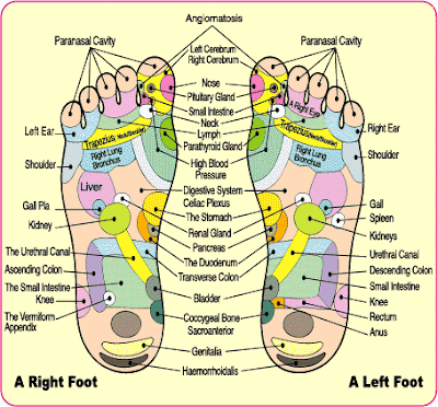 Detox Foot Pads. The actual idea of detox foot