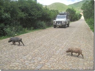 110207 Ruta del Che_stef (5)