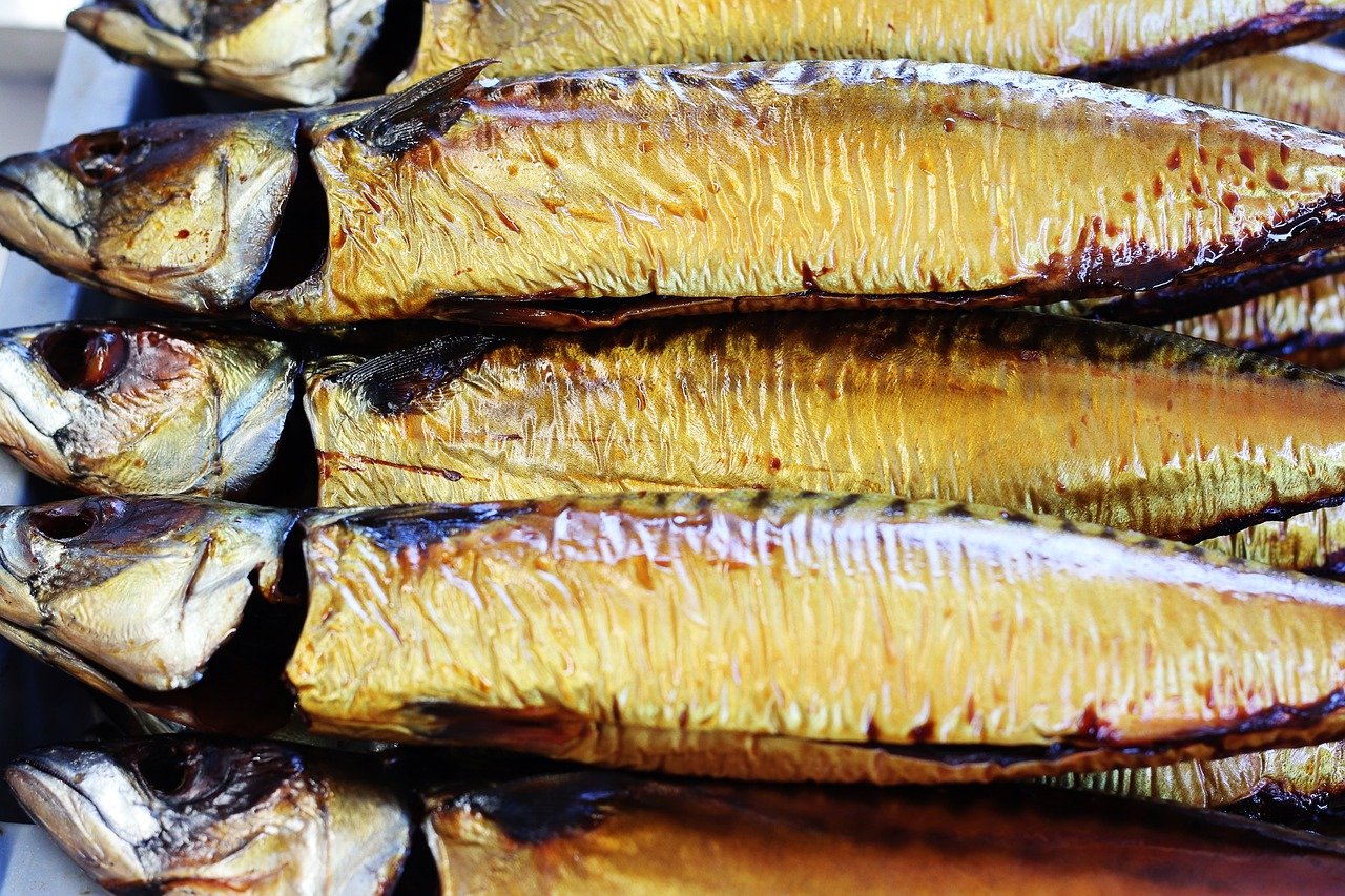 8 Benefits of Mackerel that are Good for All Ages