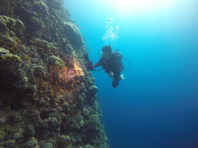 Saving Atlantis 2018 Image 2