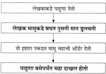 मामू पाठ अकरावी स्वाध्याय | Mamu Swadhyay 11th | Maharashtra State Board 11th Marathi Solution