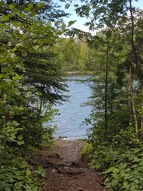 Hazelwood Lake conservation area