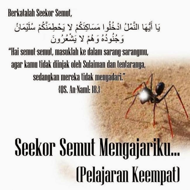 cara menghalau semut dalam islam