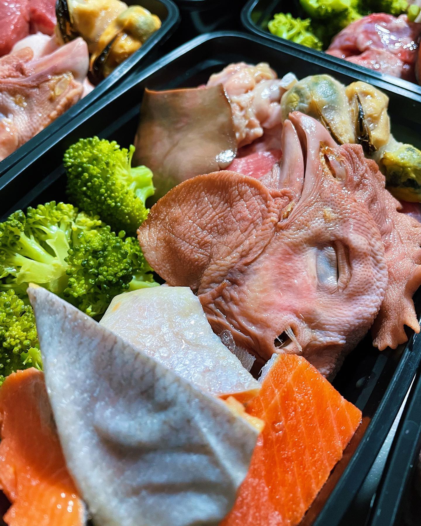 raw feeding miami raw salmon, white oak pastures chicken head, steamed broccoli