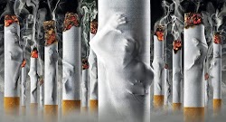 Σύμφωνα με την καθηγήτρια Μπανκς τα άτομα που καπνίζουν πάνω από 10 τσιγάρα την ημέρα διπλασιάζουν το κίνδυνο να πεθάνουν από κάποια ασθένει...