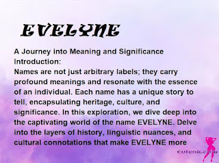meaning of the name EVELYNE