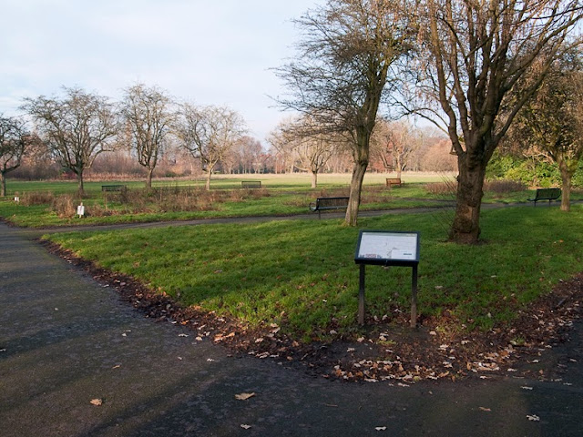 Fog Lane Park in December