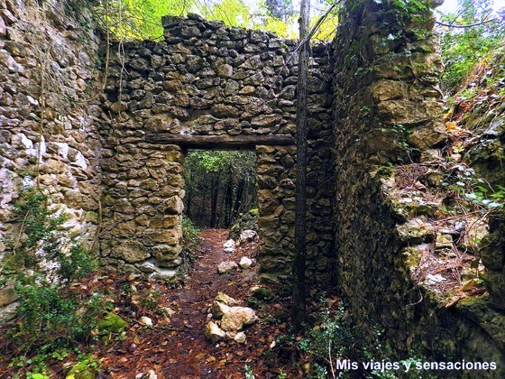 Paseo botánico, Monumento Natural de la Hoz de Beteta, Cuenca