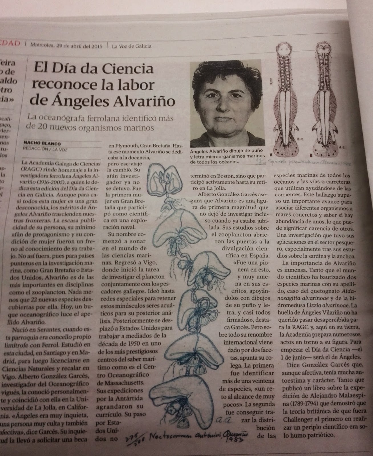 http://www.lavozdegalicia.es/noticia/ciencia/2015/04/29/dia-da-ciencia-reconoce-labor-angeles-alvarino/0003_201504G29P28991.htm