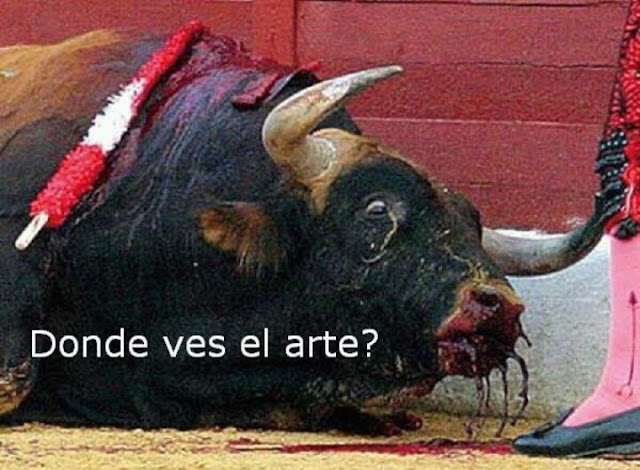 ANTES MUERTO QUE TORERO