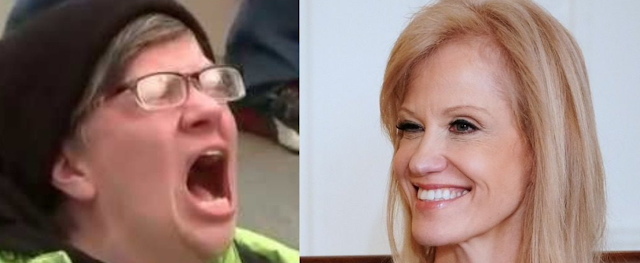 Man in market harasses Kellyanne Conway – gets roasted by her