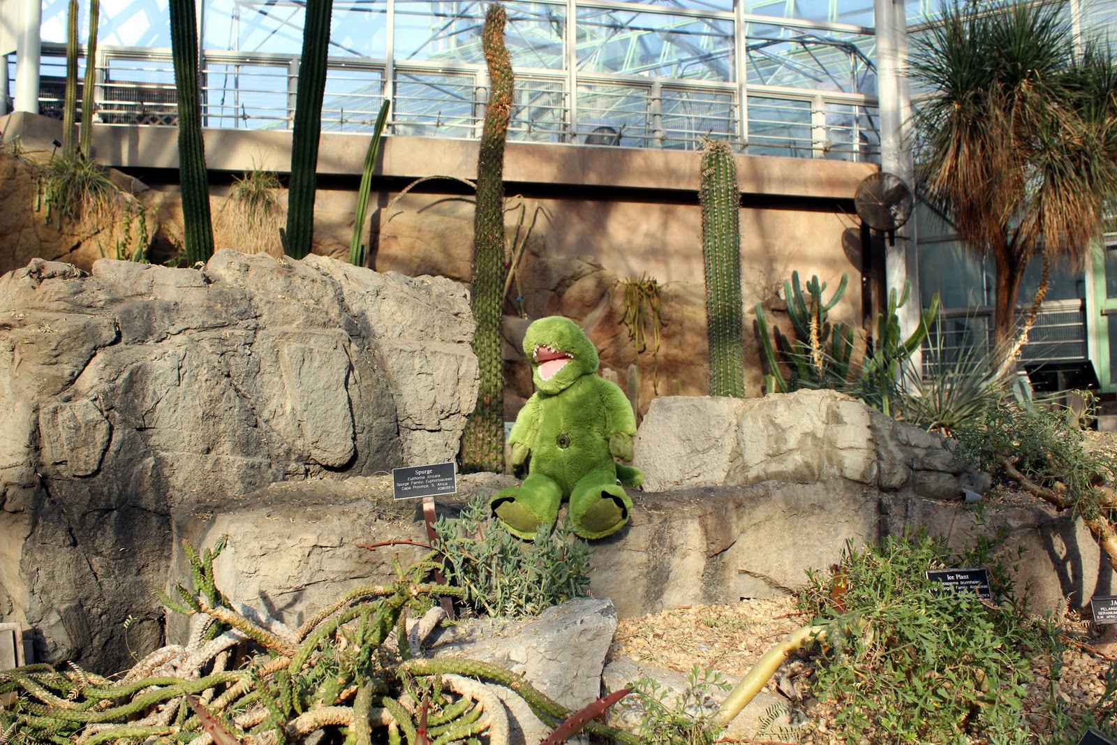 T-Rex NYC: A "Winter" Weekday at the Brooklyn Botanic Garden