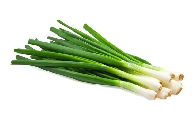 manfaat dan khasiat daun bawang prei untuk kesehatan tubuh