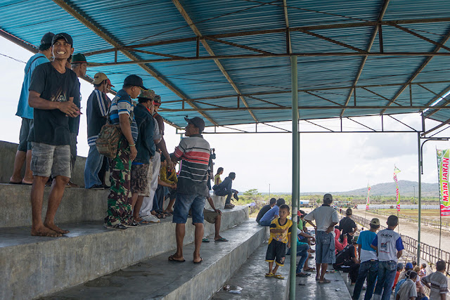 Serunya Pacuan Kuda Di Sumbawa