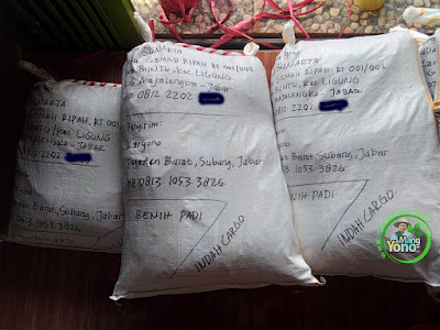 Benih Padi Pesanan TATA SUNARTA Majalengka, Jabar.   Benih Sesudah di Packing