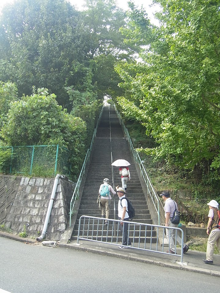 写真: 