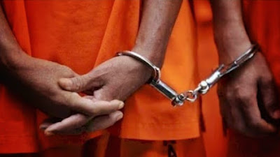 Dua DPO Pelaku Curas Berhasil Ditangkap Polsek Seputih Raman