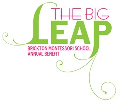 BigLeapLogo