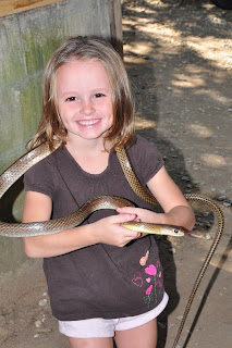 A River Snake