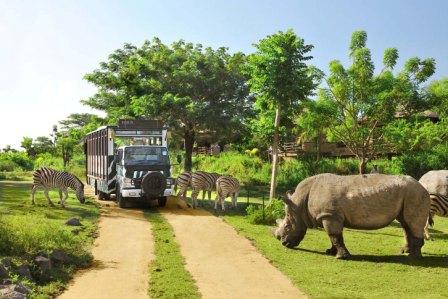 wisata bali Taman Safari Marine Park