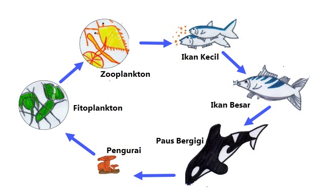 Membuat Teks Nonfiksi Tentang Ekosistem  Mikirbae.com