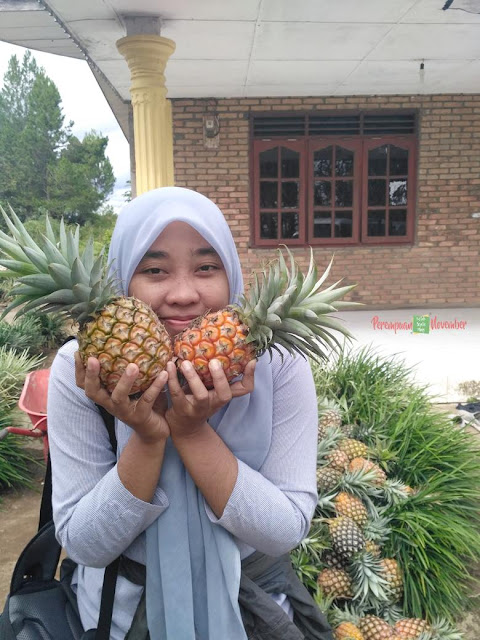 perempuan nanas