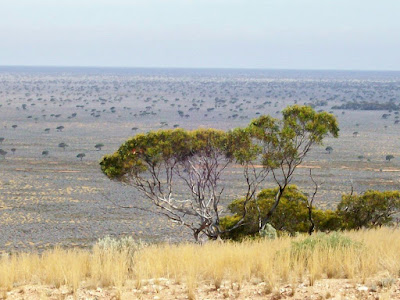 Nullarbor-Route