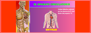 http://www.juntadeandalucia.es/averroes/manuelperez/udidacticas/udanatomia/circulatorio/