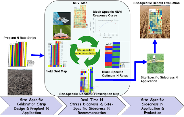 emote sensing calibration strip-based precision nitrogen management technology corn