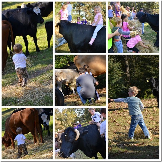 farm5