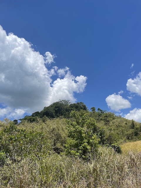 Mt. Pico de Loro Hike, April 2024