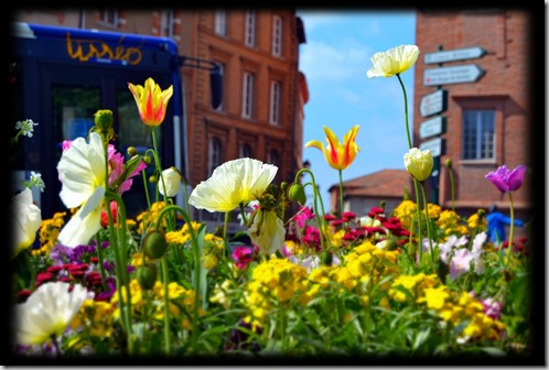 2. La ville respire