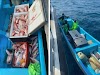 PROCESA EU A PESCADORES MEXICANOS POR CAPTURA ILEGAL DE HUACHINANGO. 