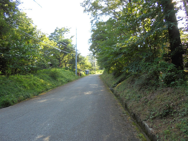 美しい別荘地の道