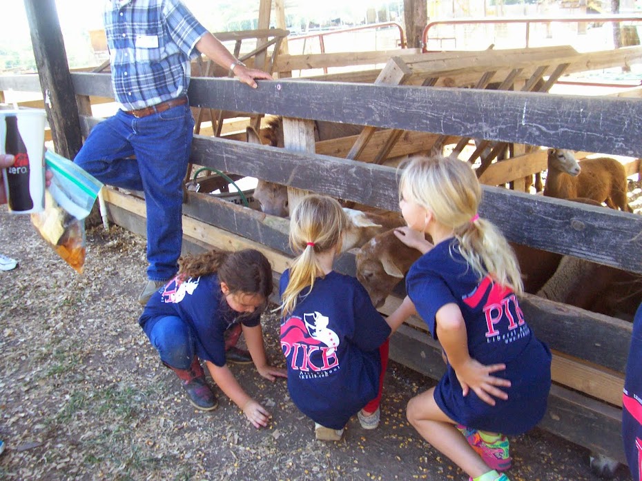 FEEDING THE GOATS